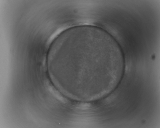 X0000113941174200910161908