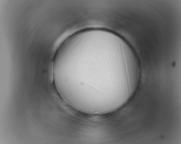 X0000113941175200910161908