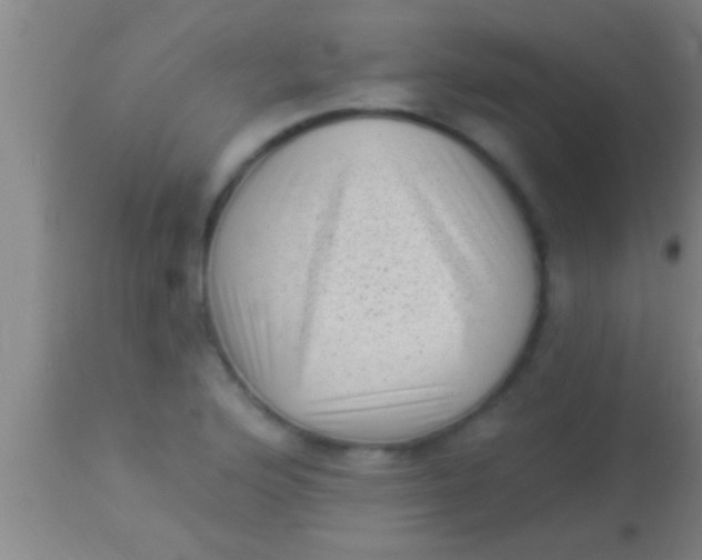 X0000113941176200910161908