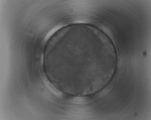 X0000113941179200910161908