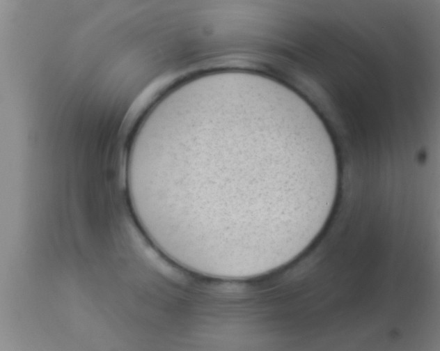 X0000113941180200910161908