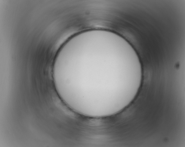 X0000113941182200910161908