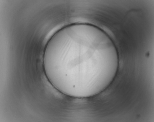 X0000113941183200910161908