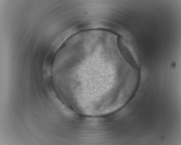 X0000113941185200910161908