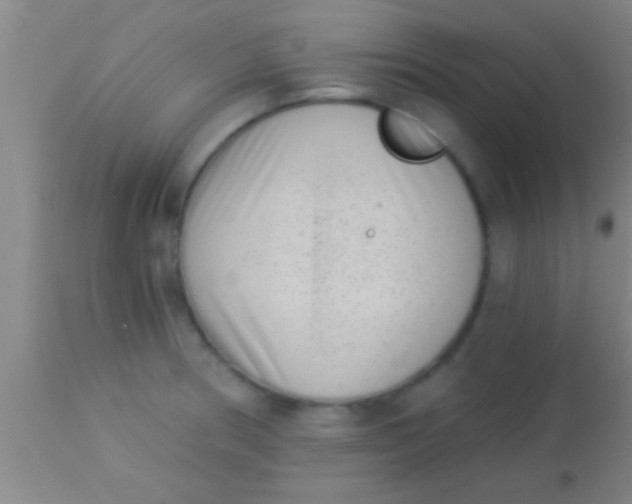 X0000113941186200910161908