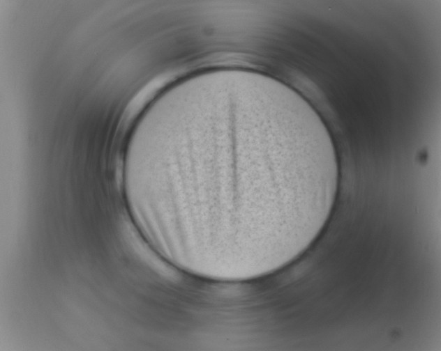 X0000113941188200910161908