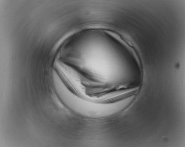 X0000113941189200910161908
