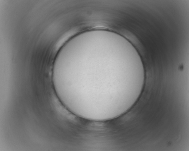 X0000113941190200910161908