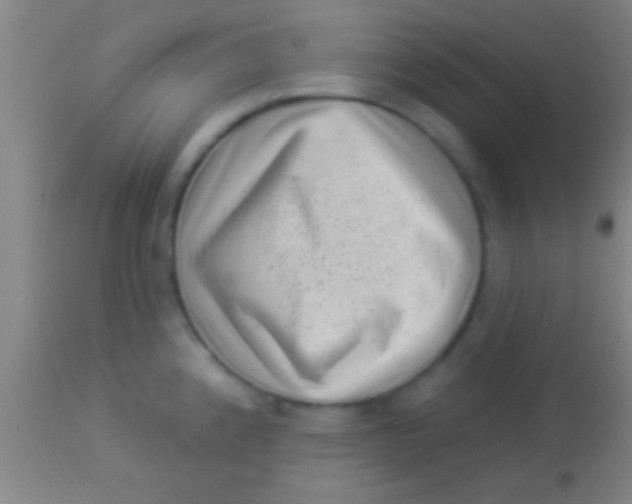 X0000113941192200910161908