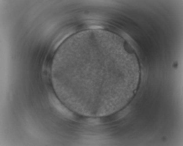 X0000113941194200910161908