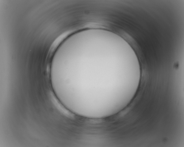 X0000113941196200910161908