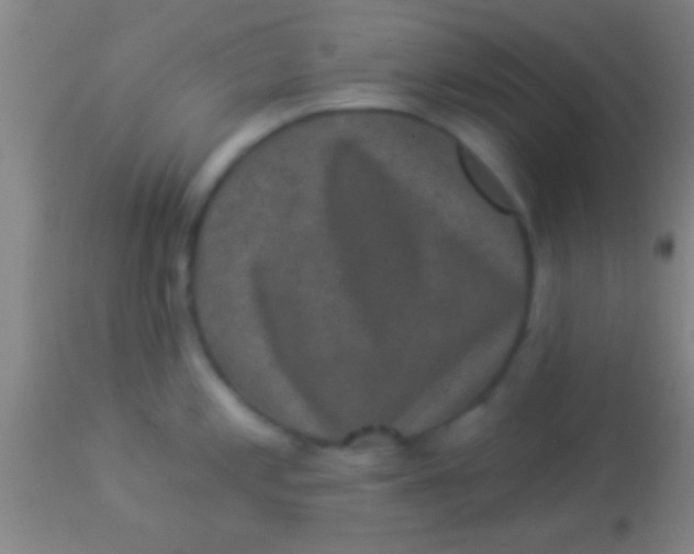 X0000113941197200910161908