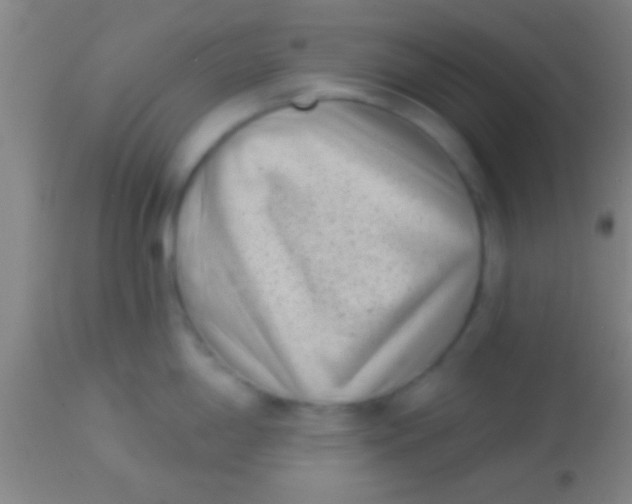 X0000113941198200910161908