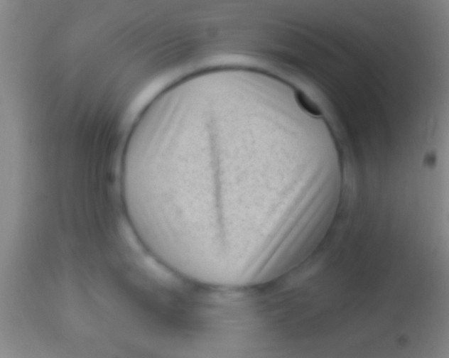 X0000113941199200910161908