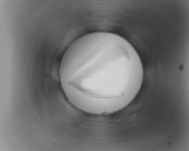 X0000113941202200910161907