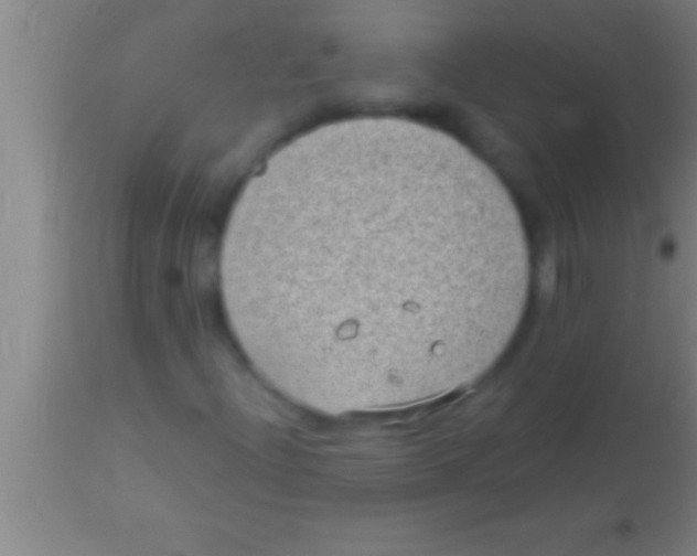 X0000113941204200910161907