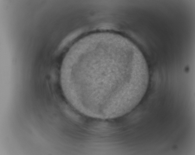 X0000113941207200910161907