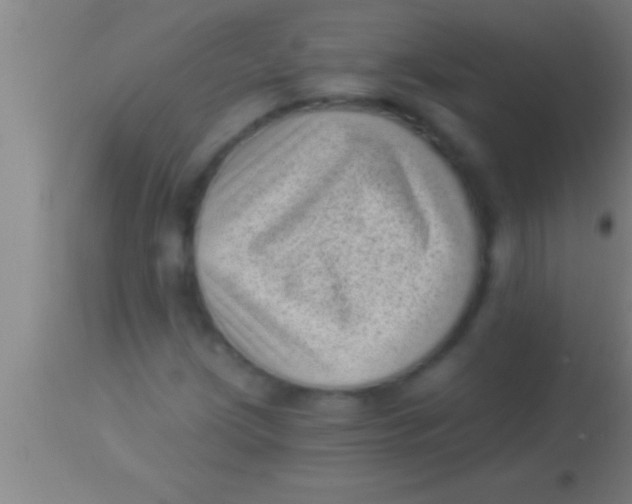 X0000113941209200910161907