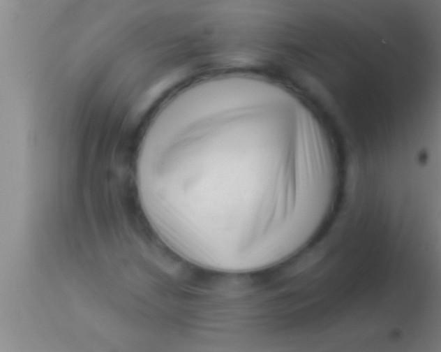 X0000113941210200910161907