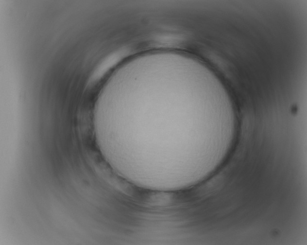 X0000113941211200910161907