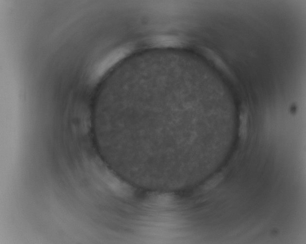 X0000113941213200910161907