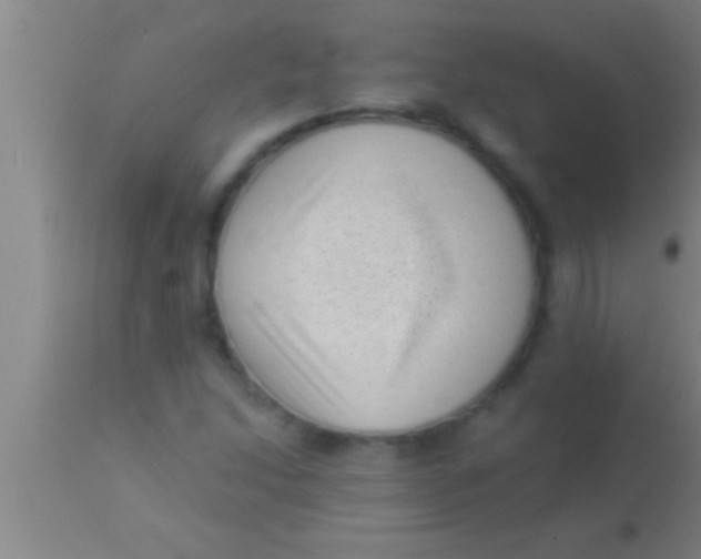 X0000113941214200910161907