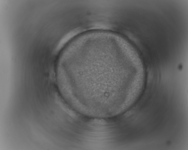 X0000113941215200910161907