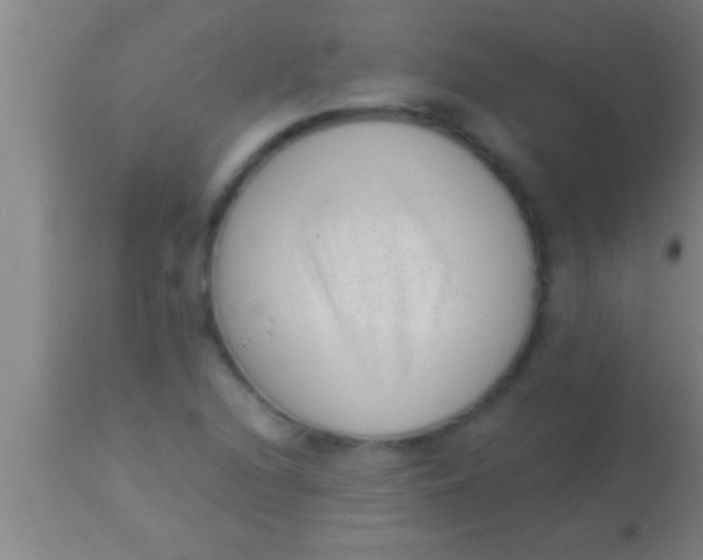 X0000113941216200910161907