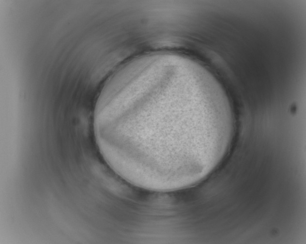 X0000113941217200910161907
