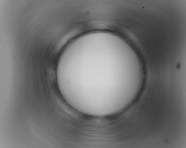 X0000113941218200910161907