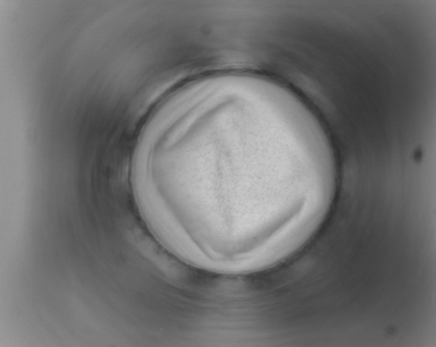 X0000113941220200910161907