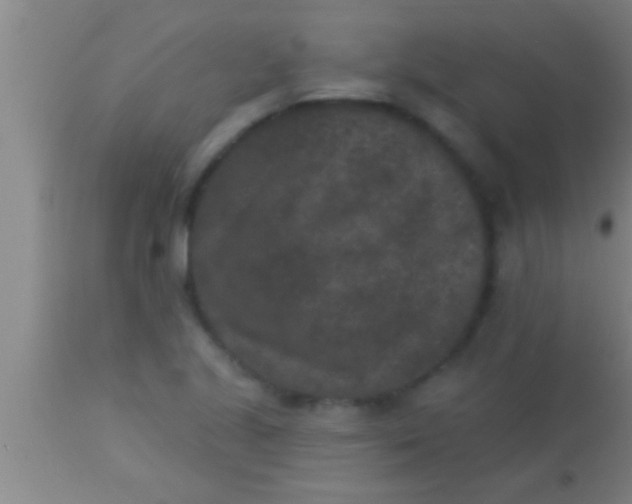 X0000113941221200910161907