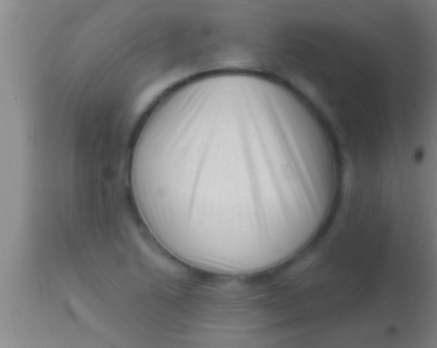 X0000113941222200910161907