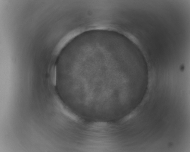 X0000113941223200910161907