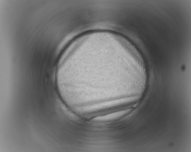 X0000113941224200910161907