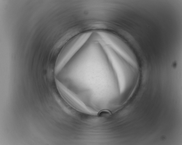 X0000113941225200910161907