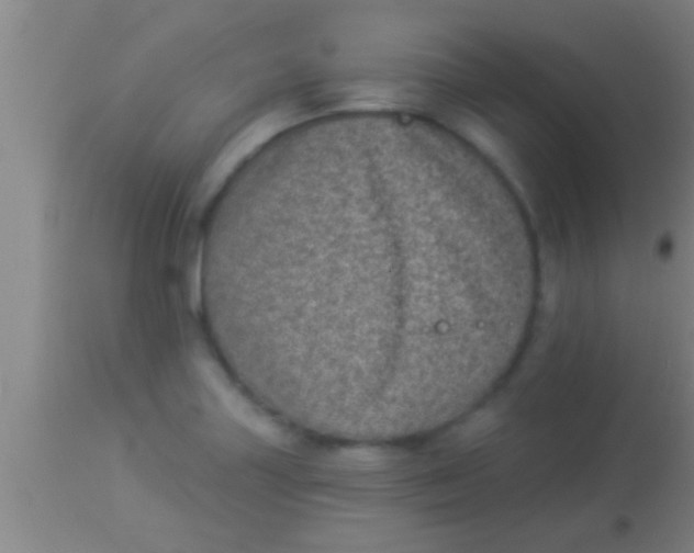 X0000113941227200910161907