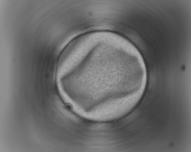 X0000113941228200910161907