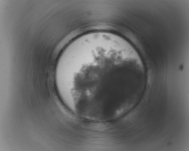 X0000113941229200910161907