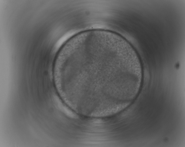 X0000113941230200910161907