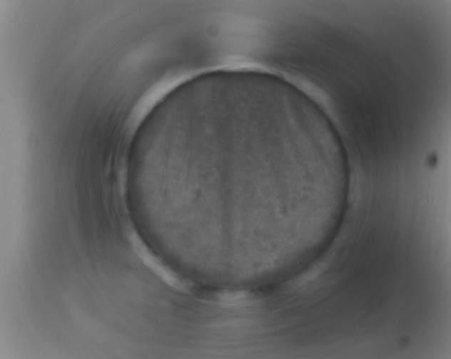 X0000113941231200910161907