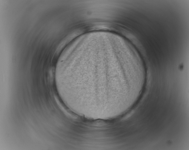 X0000113941233200910161907