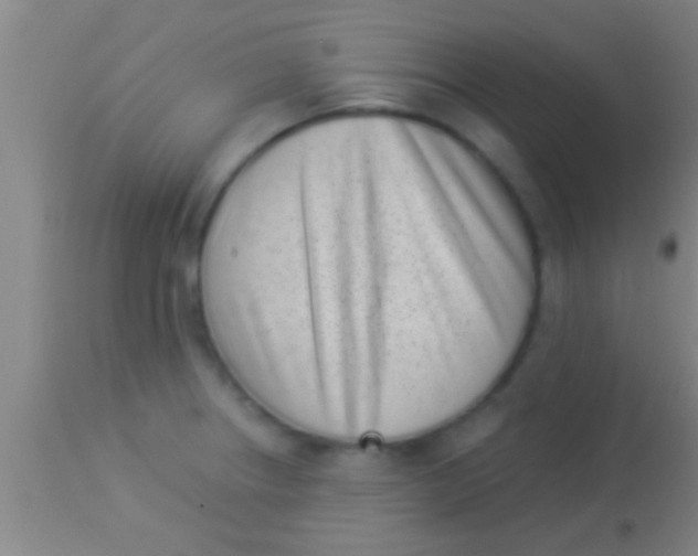 X0000113941234200910161907