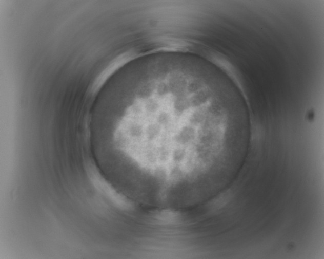 X0000113941235200910161907