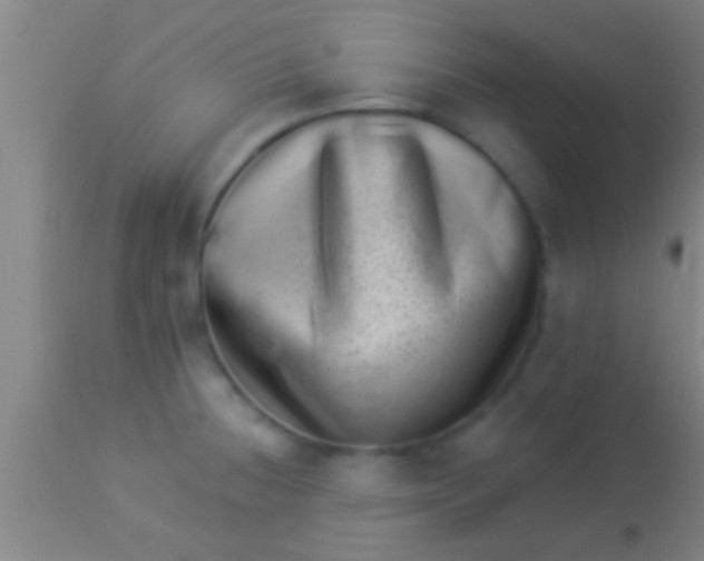 X0000113941236200910161907