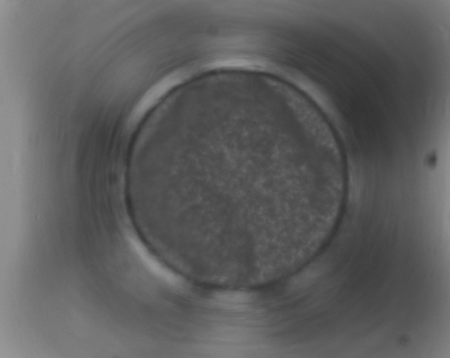 X0000113941237200910161907