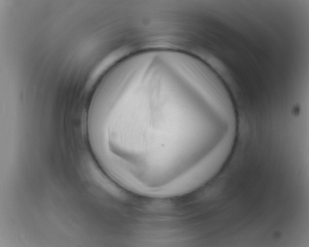 X0000113941238200910161907