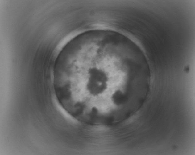 X0000113941239200910161907