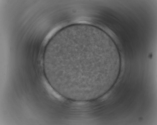 X0000113941240200910161907