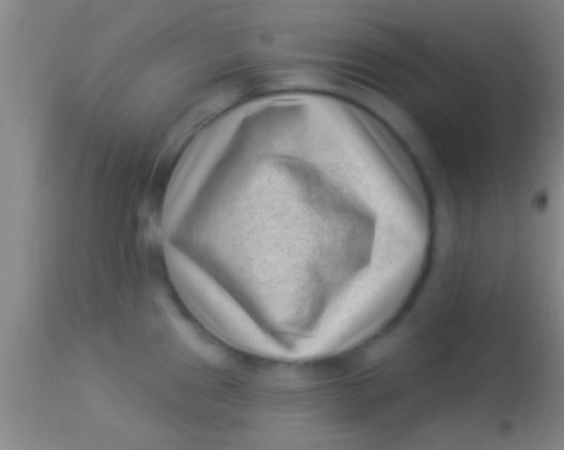 X0000113941241200910161907